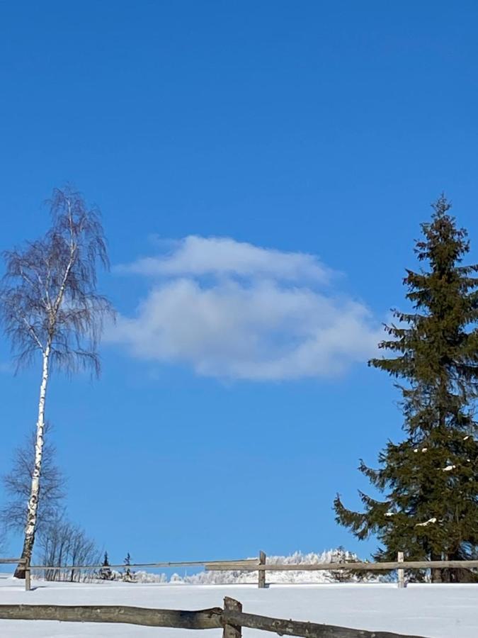 Садиба Anna Slavske Dış mekan fotoğraf